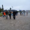 picture 051